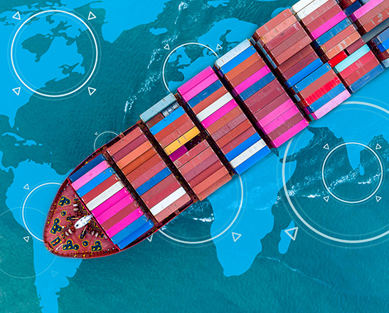 LVO optimise son activité douane avec Conex